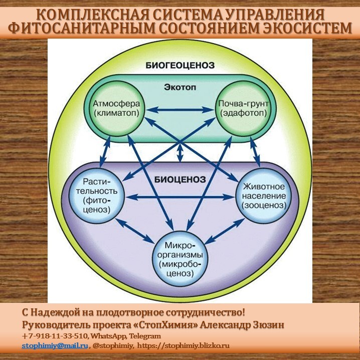 Примеры биоценоза в биологии. Экотоп и биоценоз. Экосистема биогеоценоз структура экосистемы. Биогеоценоз биотоп биоценоз. Схематическая структура биогеоценоза.