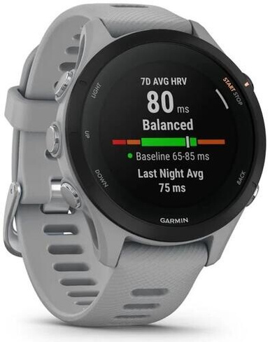 Смарт-часы Garmin Forerunner255SGrey