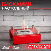 Настольный биокамин SteelHeat ALBA красный