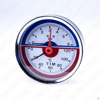 Термоманометр радиальный 6 бар (1/50)
