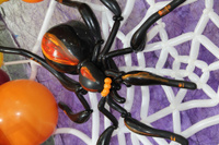 Фигура из воздушных шаров Страшный паук с доставкой