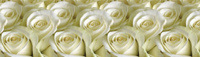 Кухонный Фартук ПВХ Белые розы 600х300 мм