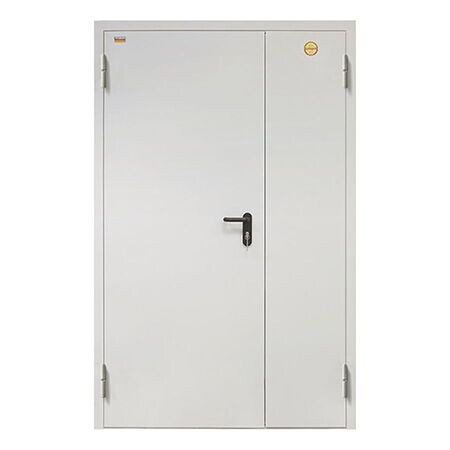 Дверь ДП-2-60-2050/1350/L