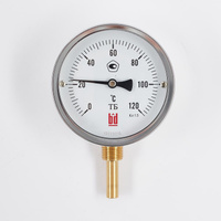 Биметаллический термометр BD ТБ 100Р/100