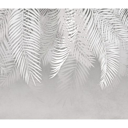 Фотообои Dekor Vinil Пальмовые листья на светлом фоне